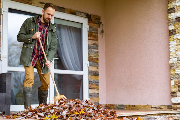 Yard Cleanup Services in Galesville, MD